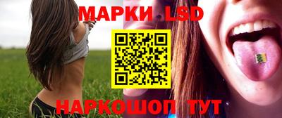 mdpv Гатчина