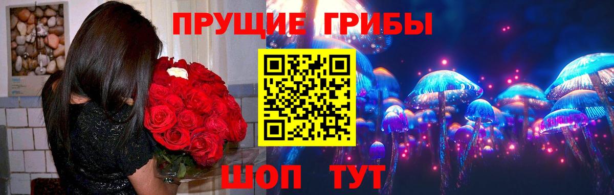 Назрань  Псилоцибиновые грибы Magic Shrooms  купить  цена  Псилоцибиновые грибы ЛСД  Вход с VPN 